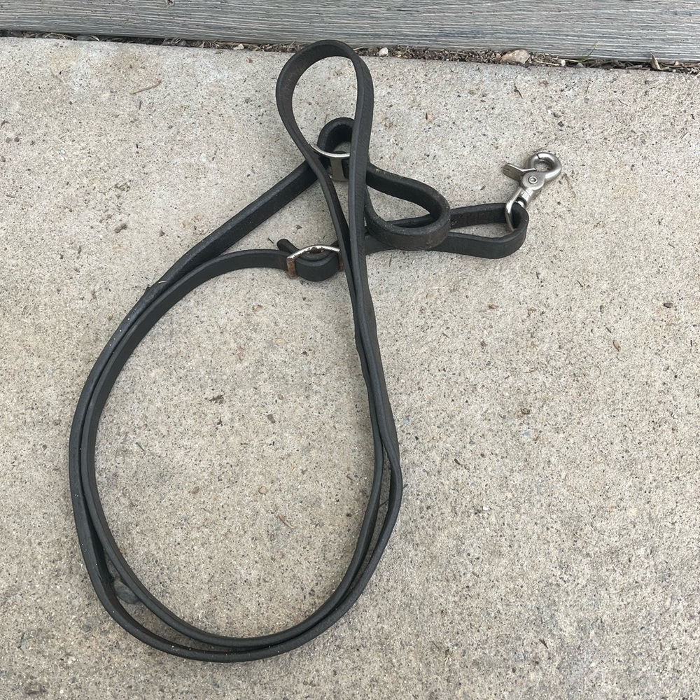 Single rein - smooth leather